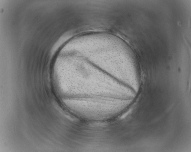 X0000073920198200609082246