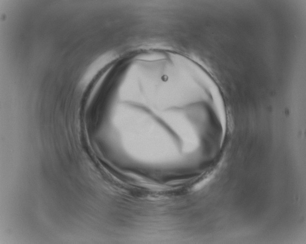 X0000073920199200609082246