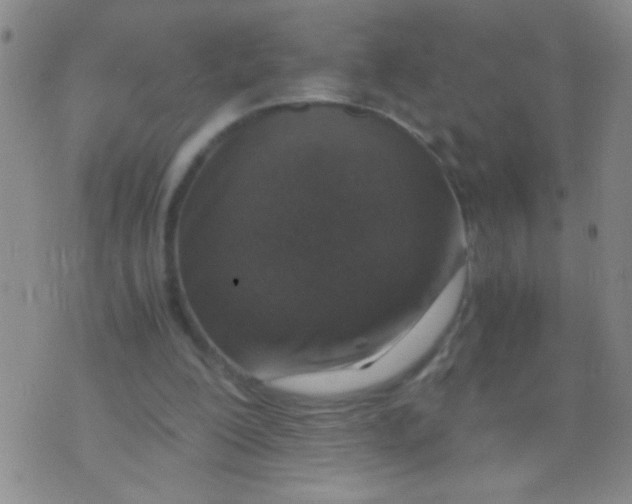 X0000073920200200609082246