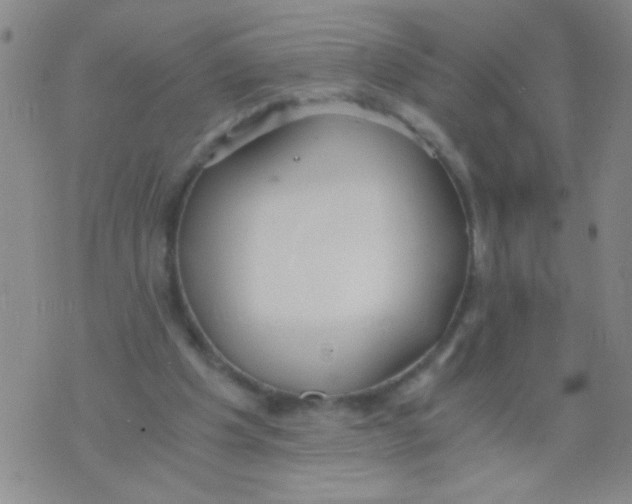 X0000073920201200609082246