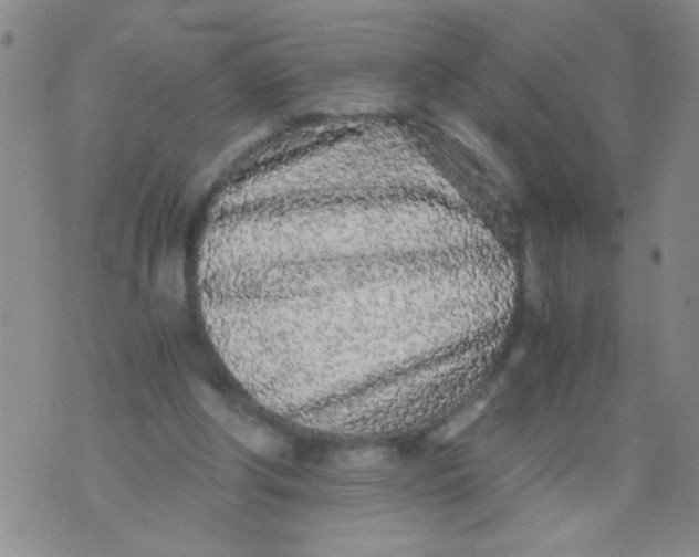 X0000073920202200609082246