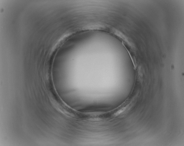 X0000073920203200609082246