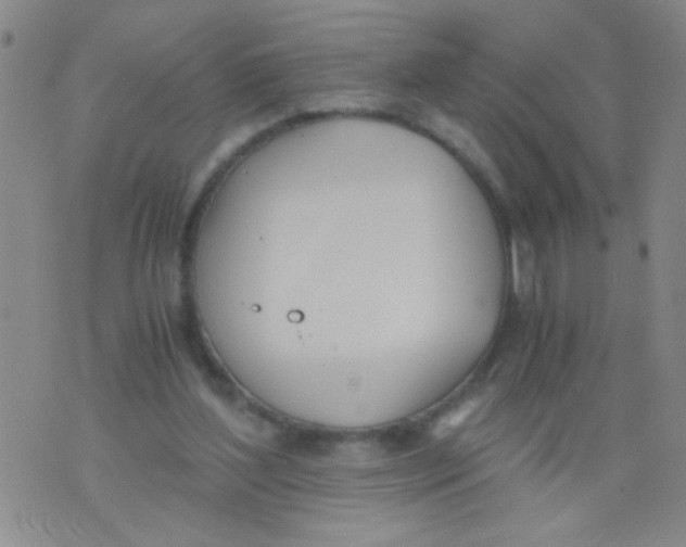 X0000073920204200609082246