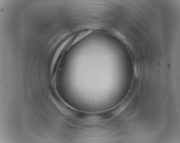 X0000073920205200609082246