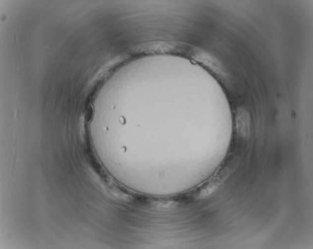 X0000073920206200609082246