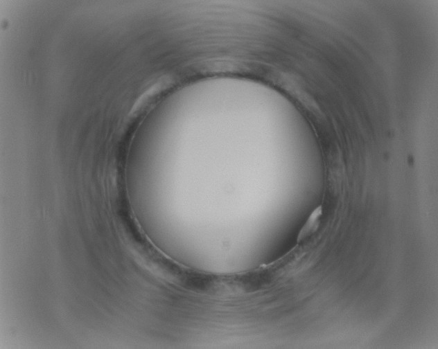 X0000073920207200609082246