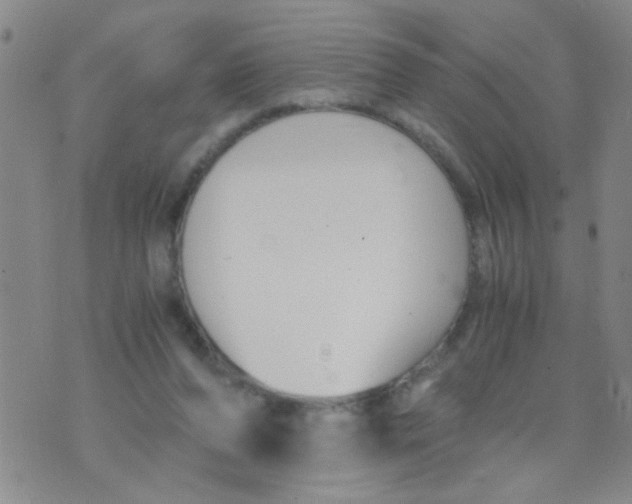 X0000073920208200609082246