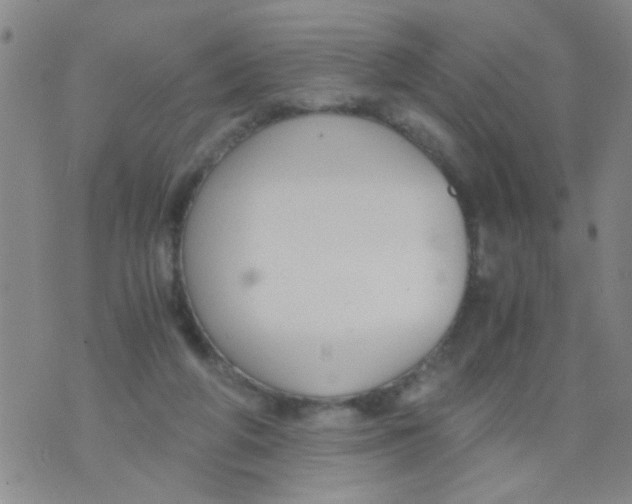 X0000073920210200609082246