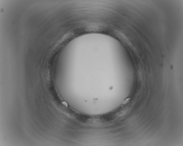 X0000073920211200609082246