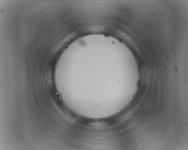 X0000073920212200609082246