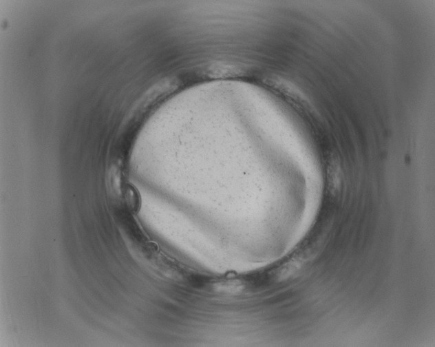 X0000073920214200609082246