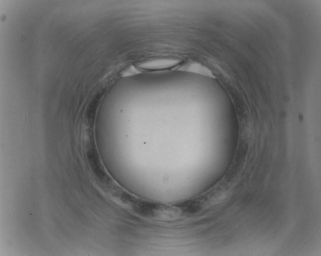 X0000073920215200609082246