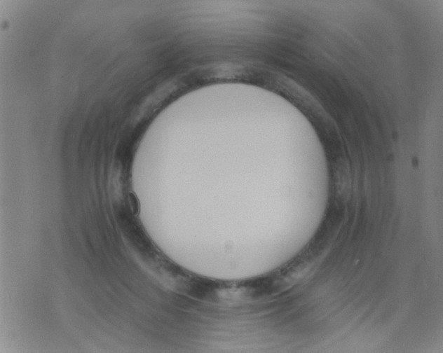 X0000073920216200609082246