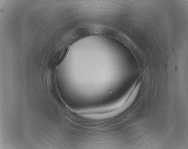 X0000073920217200609082246