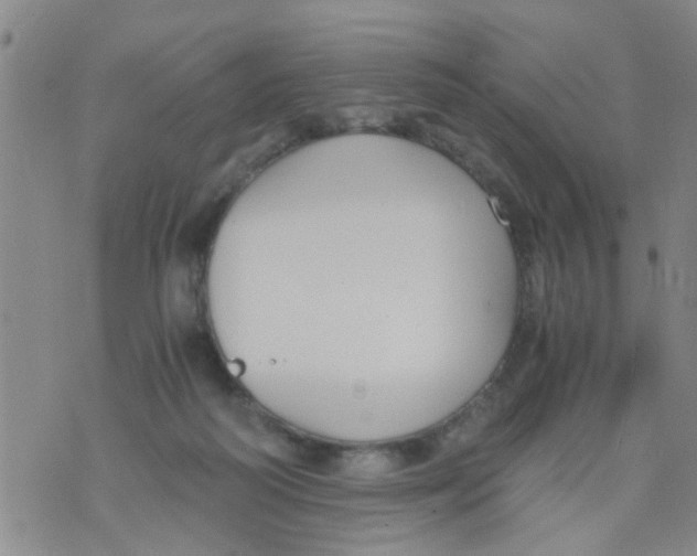 X0000073920218200609082246