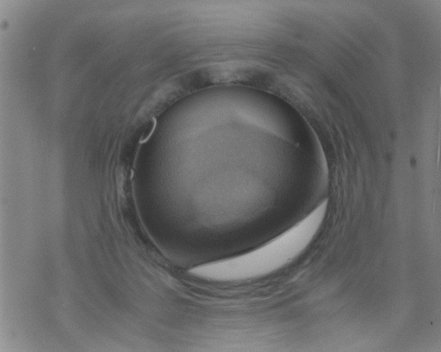 X0000073920219200609082246