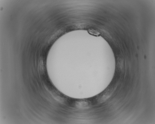 X0000073920220200609082246