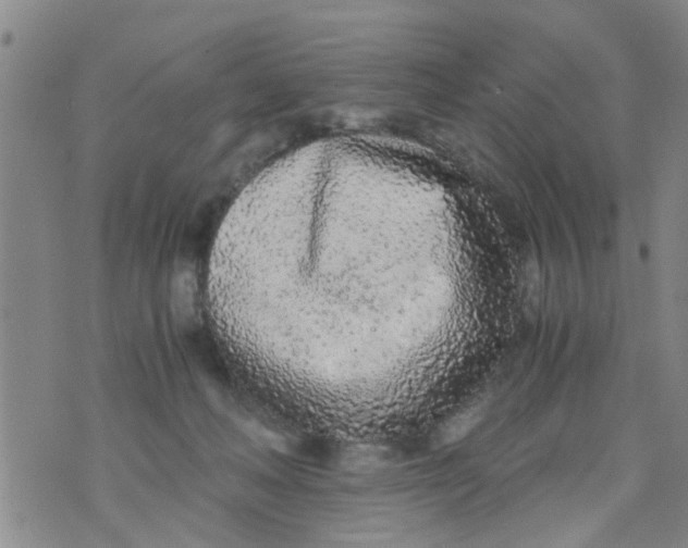 X0000073920222200609082246