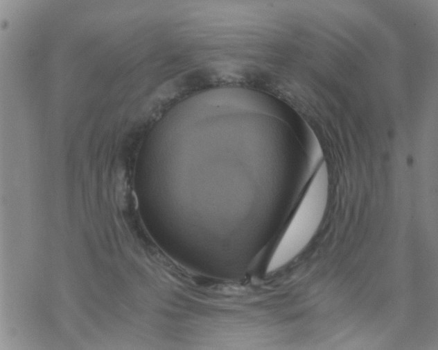 X0000073920223200609082246