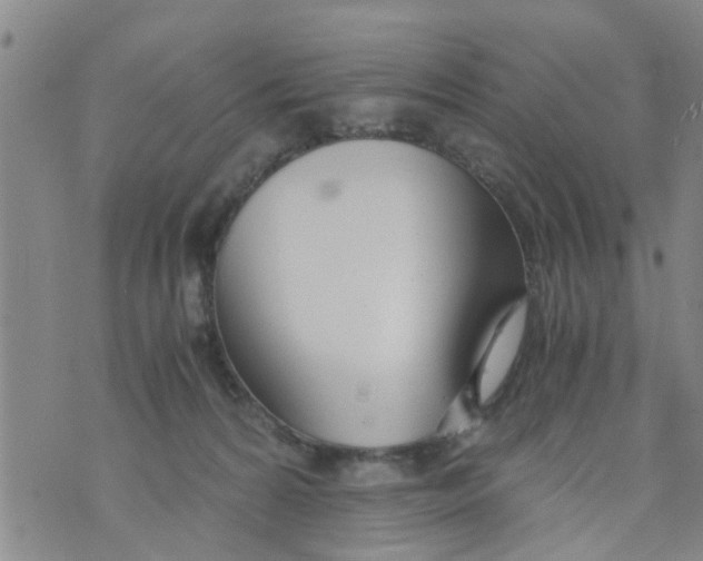 X0000073920224200609082246