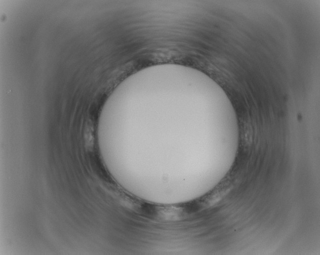 X0000073920226200609082246