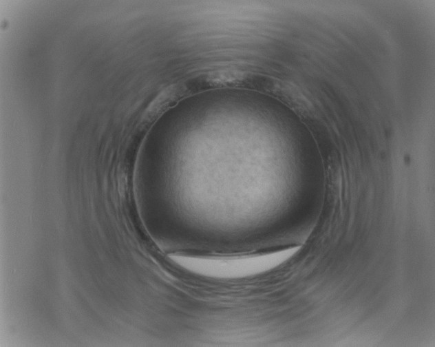 X0000073920227200609082246