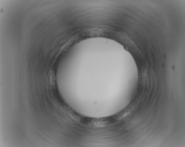 X0000073920228200609082246