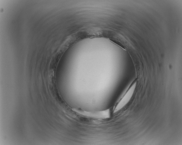 X0000073920229200609082246