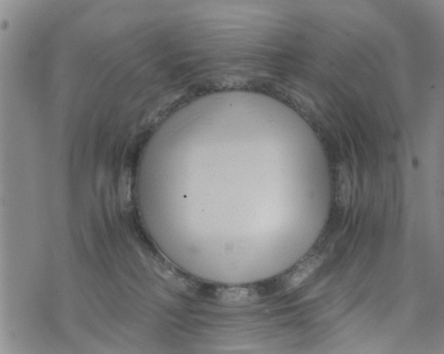 X0000073920230200609082246