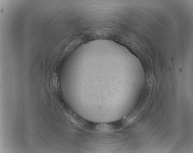 X0000073920231200609082246