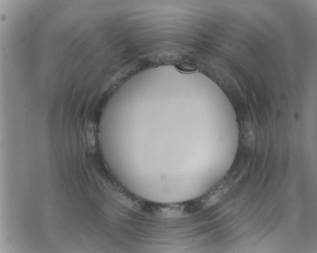 X0000073920232200609082246