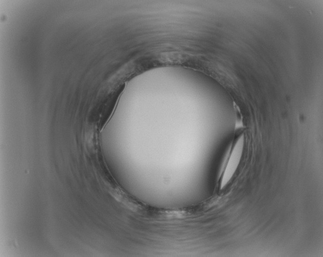 X0000073920233200609082246