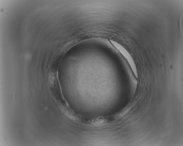 X0000073920235200609082246