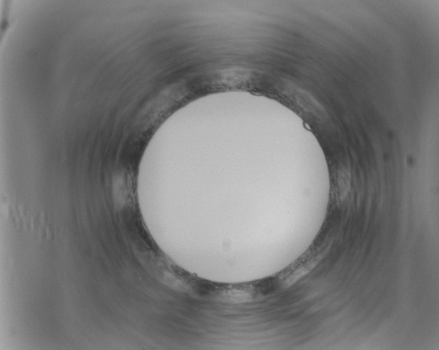 X0000073920236200609082246