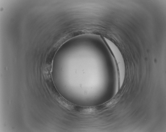 X0000073920237200609082246