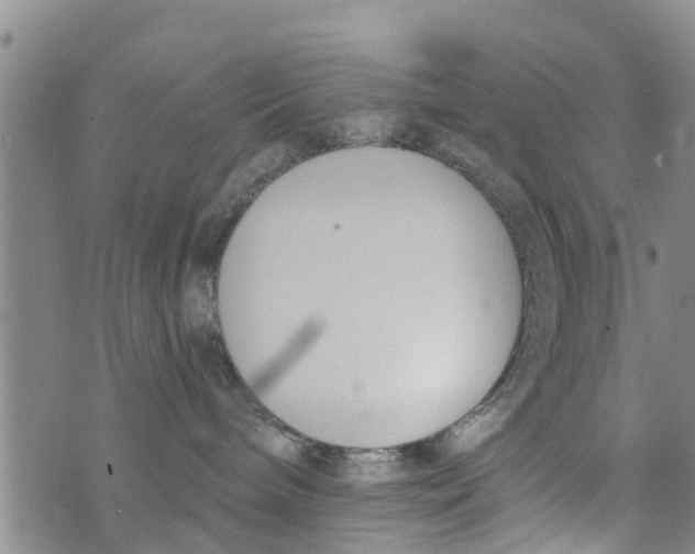 X0000073920240200609082246