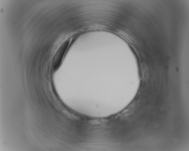 X0000073920241200609082245