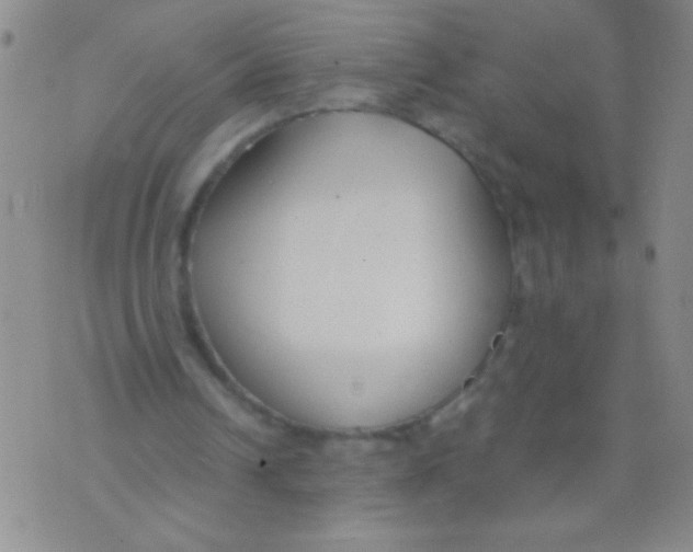 X0000073920242200609082245