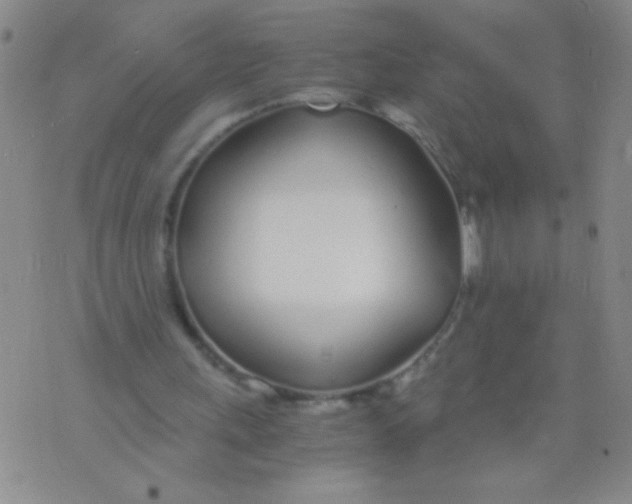 X0000073920243200609082245