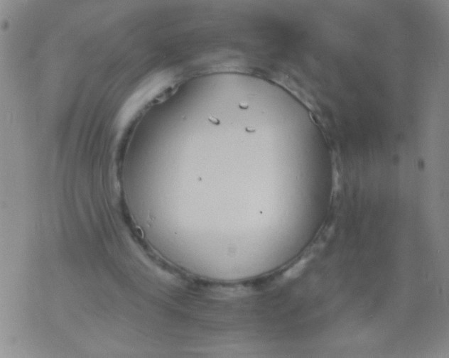 X0000073920245200609082245