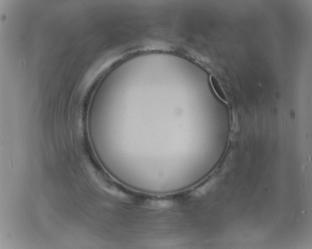 X0000073920247200609082245