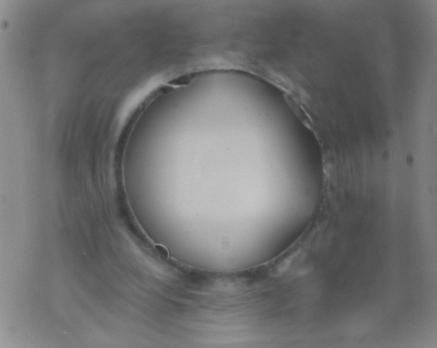 X0000073920248200609082245