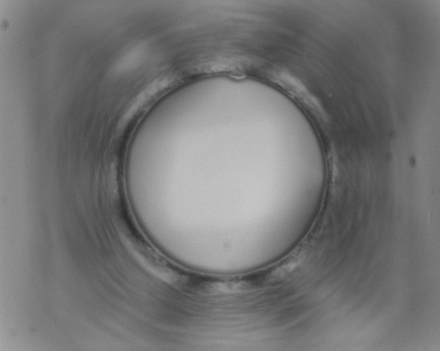 X0000073920250200609082245