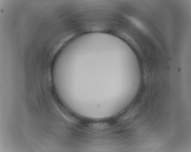 X0000073920251200609082245