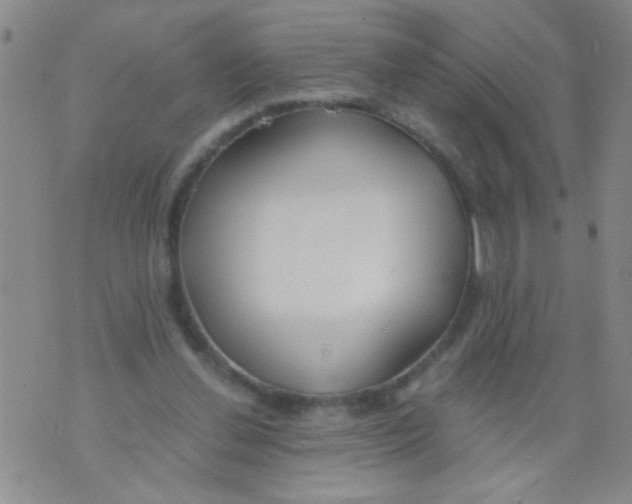 X0000073920252200609082245