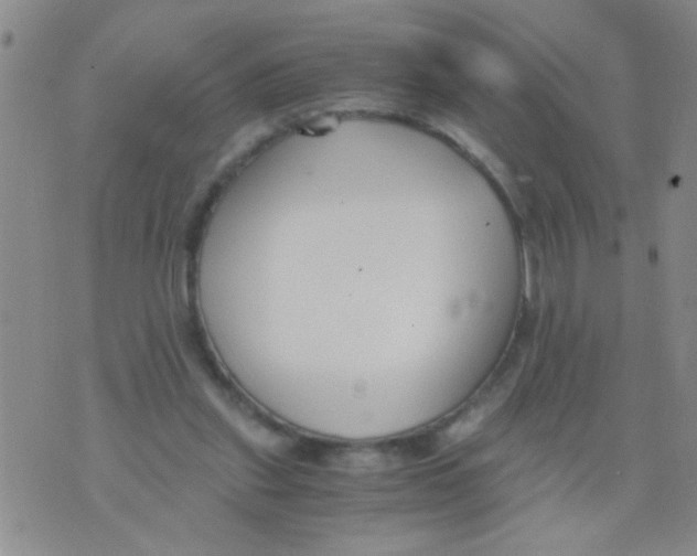 X0000073920253200609082245