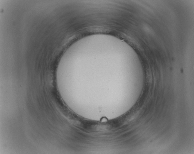 X0000073920255200609082245