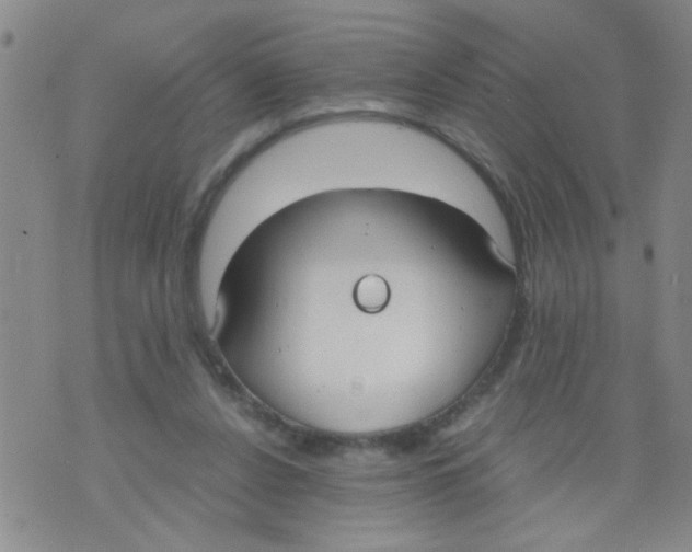 X0000073920256200609082245