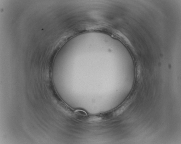 X0000073920257200609082245