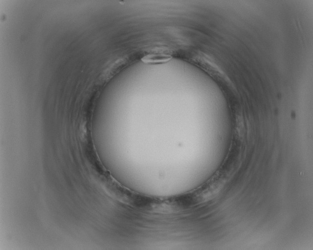 X0000073920259200609082245